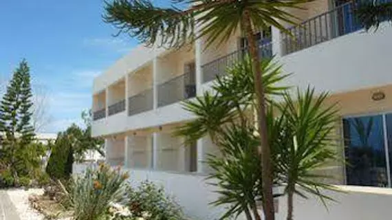 Aphrodite Beach Hotel | Baf (ve civarı) - Neo Chorio