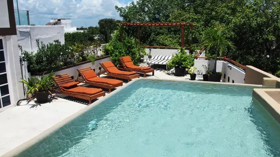 Quinta Margarita Suites | Quintana Roo - Solidaridad - Playa del Carmen