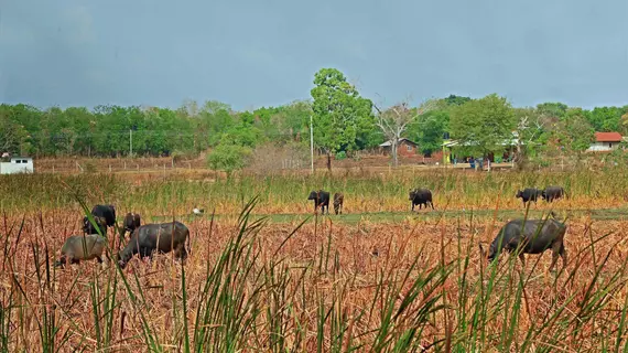 Heina Nature Resort & Yala Safari | Monaragala Bölgesi - Kataragama