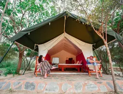 Yala National Park Camping | Southern Province - Hambantota Bölgesi - Palatupana