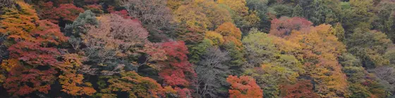 Arashiyama Benkei | Kyoto (idari bölge) - Ukyo Bölgesi - Kyoto (ve civarı) - Kyoto - Arashiyama