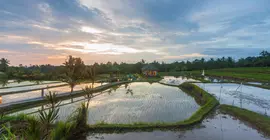 Cahaya Ubud Villa | Bali - Ubud