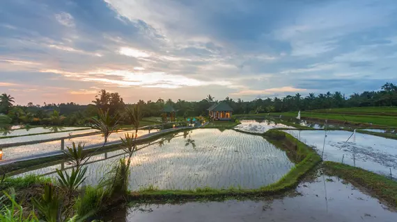 Cahaya Ubud Villa | Bali - Ubud