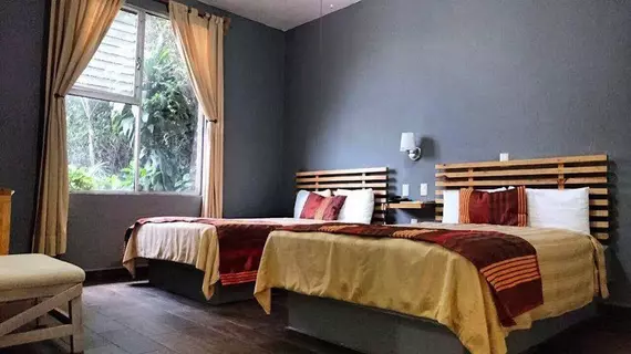 Hotel VF Cuernavaca | Morelos - Cuernavaca