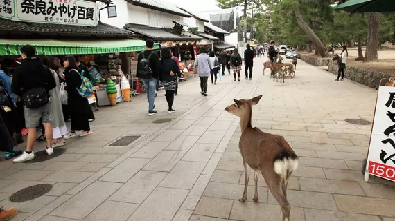 Oak Hostel Nara | Nara (idari bölge) - Nara (ve civarı) - Nara