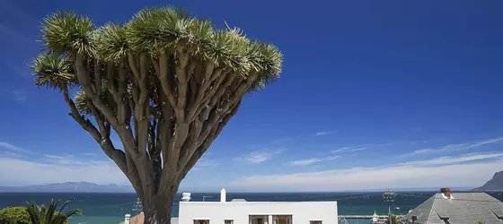 Chartfield Guesthouse | Western Cape (il) - West Coast DC - Drakenstein - Cape Town (ve civarı) - Cape Town - Kalk Bay