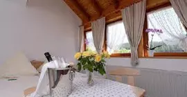 Hotel-Restaurant "Zur Birke" | Baden-Wuerttemberg - Furtwangen