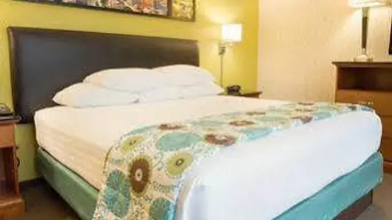 Drury Inn & Suites The Woodlands | Teksas - Conroe (ve civarı) - The Woodlands