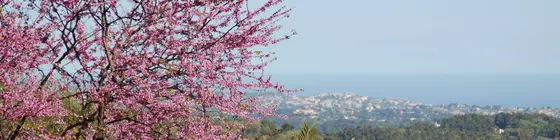 Le Mazet de Tourrettes | Provence - Alpes - Cote d'Azur - Tourrettes-sur-Loup