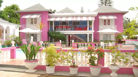 PinkHibiscus Guest House | Saint James - Montego Körfezi (ve civarı) - Montego Bay