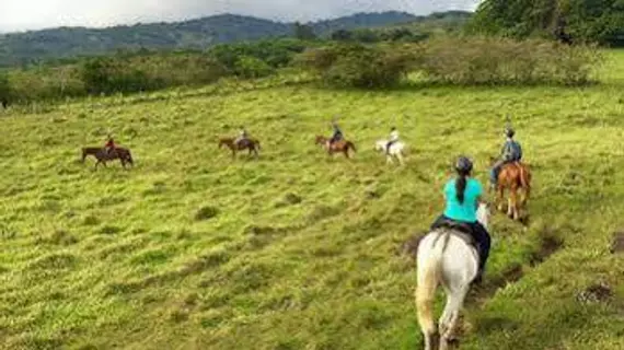 Hotel Roca Verde | Puntarenas (ili) - Monteverde