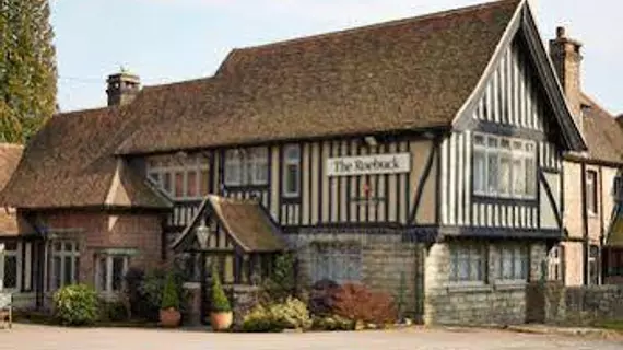 Roebuck | Doğu Sussex (kontluk) - Wadhurst - High Weald