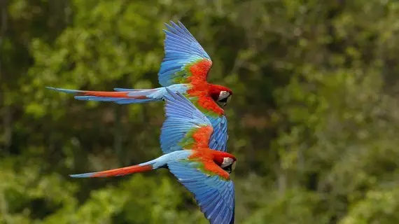 Angels Ecolodge | Guanacaste - Veintisiete de Abril