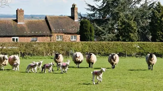 Church Farm B&B | Shropshire (kontluk) - Shifnal