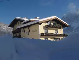 Gästehaus Alpenblick | Tirol - Reutte (ve civarı) - Lermoos