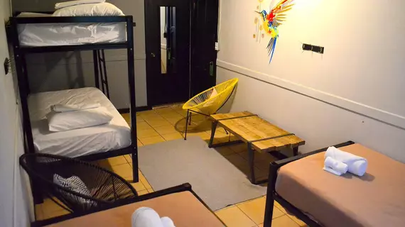 Selina San Jose Hostel | Alajuela (ili) - San Jose (ve civarı) - San Jose