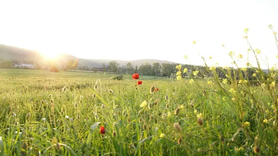 La Casa Di Campagna | Umbria - Perugia (vilayet) - Magione