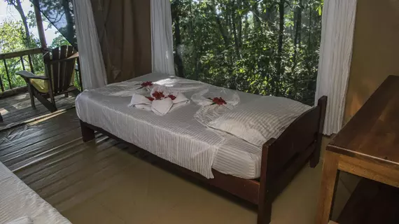 La Leona Eco Lodge | Puntarenas (ili) - Puerto Jimenez