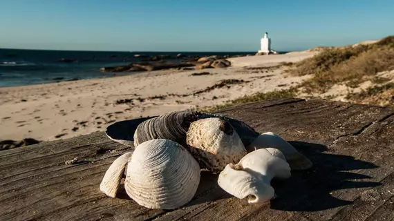 Lighthouse Villa | Western Cape (il) - West Coast DC - Saldanha Bay - St. Helena Körfezi