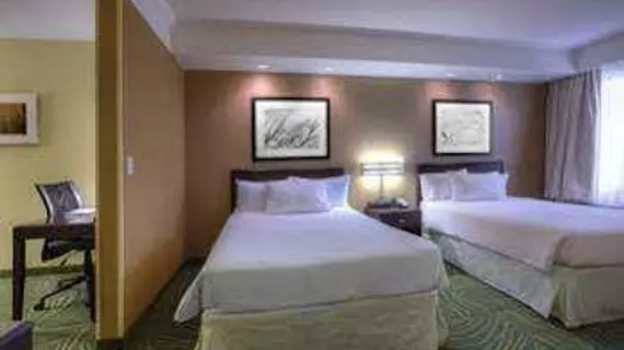 SpringHill Suites by Marriott - Tampa Brandon | Florida - Tampa (ve civarı) - Tampa