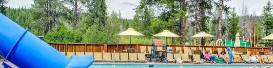 Lucky Tree Cabin | Kaliforniya - Lake Tahoe (ve civarı) - Truckee