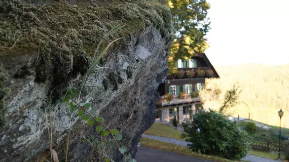 Der Klugbauer | Styria - Sankt Stefan ob Stainz - Greisdorf