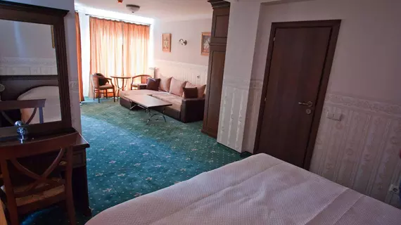 Airport Hotel Amsterdam | Sofya (ve civarı) - Sofya