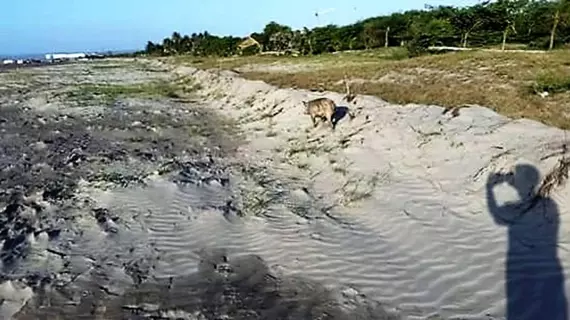 Manzanillo Beach | Bolivar - Cartagena (ve civarı) - Cartagena