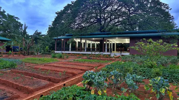 Governor's Gangula Dambulla | Merkez Vilayet - Matale Bölgesi - Dambulla