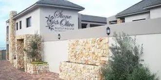 Stone Olive