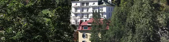 Hotel Das Regina | Salzburg (eyalet) - Sankt Johann im Pongau - Bad Gastein