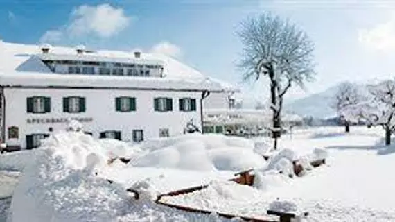 Alpenhotel Speckbacher Hof | Tirol - Innsbruck (ve civarı) - Gnadenwald