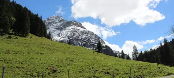 Alpenhotel Widderstein | Vorarlberg - Mittelberg