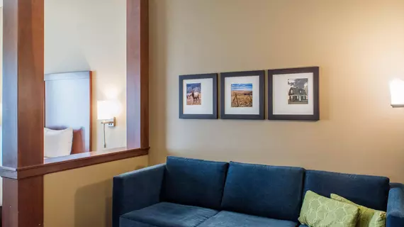 Comfort Suites Billings | Montana - Billings (ve civarı) - Billings