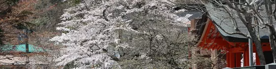 Atarashiya Ryokan Dorogawaonsen Hot Spring | Nara (idari bölge) - Tenkawa