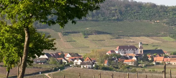 Val-Vignes | Grand Est - Bas-Rhin (bölge) - Selestat (ve civarı) - Saint-Hippolyte