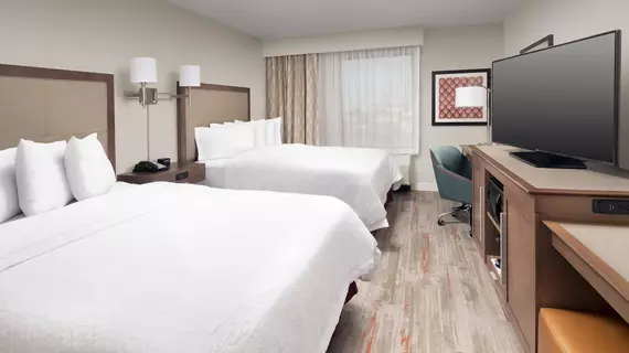 Hampton Inn and Suites San Antonio Lackland AFB SeaWorld | Teksas - San Antonio (ve civarı) - San Antonio - Batı San Antonio