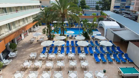 Benidorm Plaza | Valencia Bölgesi - Alicante (vilayet) - Marina Baja - Benidorm