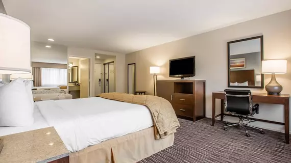 Quality Inn and Suites | Kaliforniya - Los Angeles County - Torrance