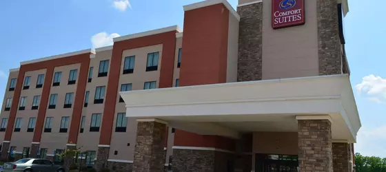 Comfort Suites Bossier City - Shreveport East | Louisiana - Bossier Parish - Shreveport (ve civarı) - Bossier City