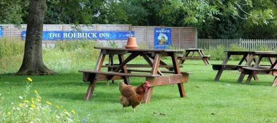 The Roebuck Inn | Doğu Sussex (kontluk) - Lewes