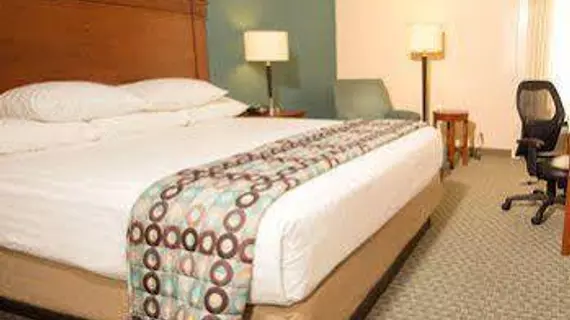 Drury Inn & Suites Houston Hobby Airport | Teksas - Houston (ve civarı) - Houston