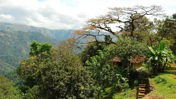 Paradisa Plantation Retreat | Kerala - Idukki Bölgesi - Pirmed