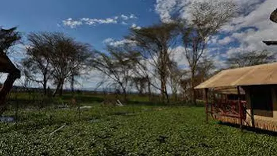 Kiboko Luxury Camp | Nakuru İlçesi - Nakuru (ve civarı) - Naivasha