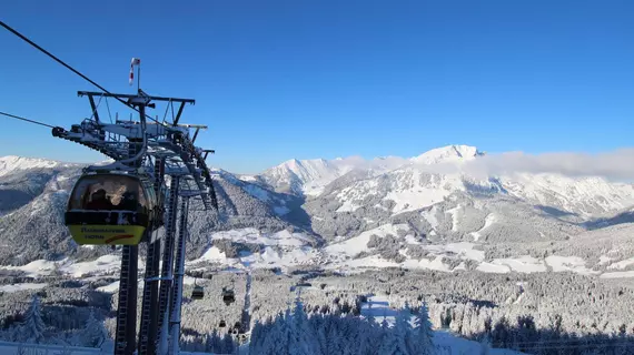 Gasthof Waldwirt | Salzburg (eyalet) - Hallein - Russbach am Pass Gschuett