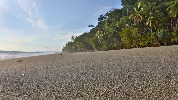 El Remanso Lodge | Puntarenas (ili) - Puerto Jimenez