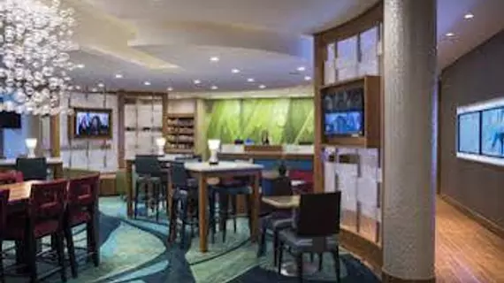 SpringHill Suites Wisconsin Dells | Wisconsin - Wisconsin Dells (Wisconsin Vadileri) (ve civarı) - Wisconsin Dells - Delton Gölü