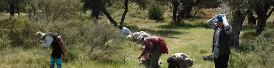 Spitakia | Kuzey Ege Adaları - Sakız Adası