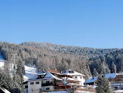 Berg Zum Zirm | Trentino-Alto Adige - Güney Tirol (il) - Renon