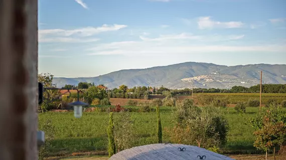 La Fiorita Farmhouse | Toskana - Arezzo (vilayet) - Cortona